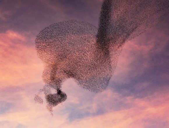 Swarm Intelligence: Collective Power in Motion